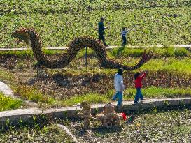 Tourists Admire Rice Straw Exhibits in Bijie