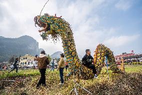 Tourists Admire Rice Straw Exhibits in Bijie