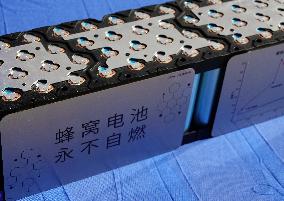 Cellular Battery Displayed at An Auto Exhibition in Yichang
