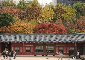 SOUTH KOREA-SEOUL-AUTUMN SCENERY