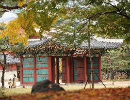 SOUTH KOREA-SEOUL-AUTUMN SCENERY