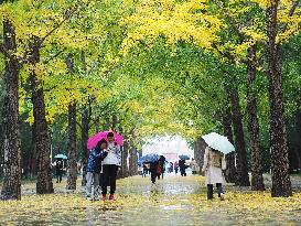 Ditan Park in Beijing