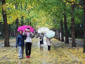 Ditan Park in Beijing