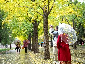 Ditan Park in Beijing