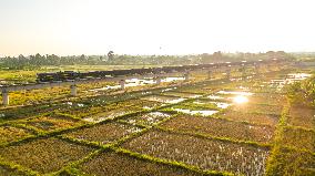 LAOS-VIENTIANE-AUTUMN-HARVEST