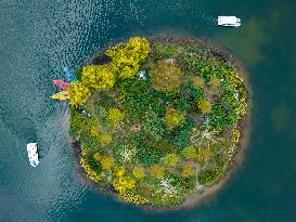 Daily Life in Chongqing