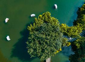 Daily Life in Chongqing