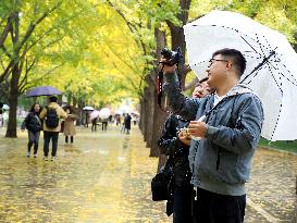 Ditan Park in Beijing