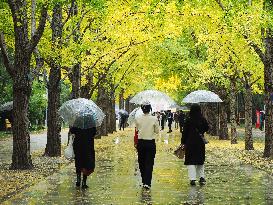 Ditan Park in Beijing