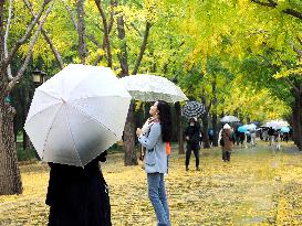 Ditan Park in Beijing