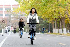 University Autumn Scenery in Qingdao