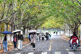 University Autumn Scenery in Qingdao