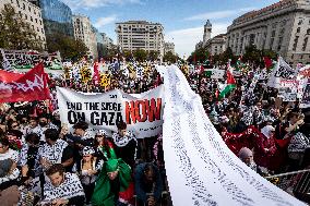 Tens of thousands demand Gaza ceasefire at Washington, DC protest