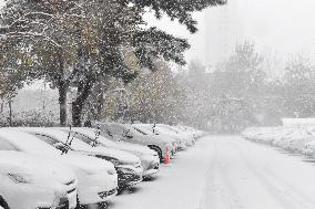 The First Snowstorm Hit Shenyang