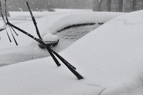 The First Snowstorm Hit Shenyang