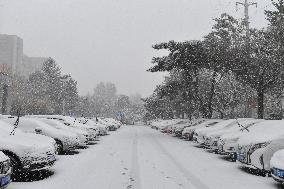The First Snowstorm Hit Shenyang
