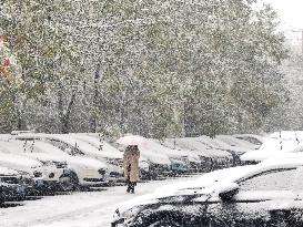The First Snowstorm Hit Shenyang