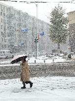 The First Snowstorm Hit Shenyang