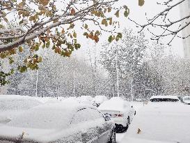 The First Snowstorm Hit Shenyang