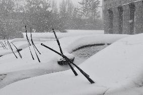 The First Snowstorm Hit Shenyang