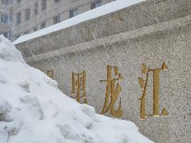 The First Snowstorm Hit Harbin
