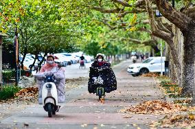 Cold Wave Blue Alert in Part China