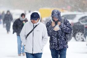 CHINA-HEILONGJIANG-HARBIN-BLIZZARDS (CN)