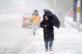 CHINA-HEILONGJIANG-HARBIN-BLIZZARDS (CN)