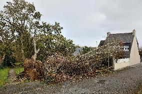Storm Damage Ciaran In Finistere