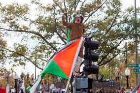 Pro-Palestinian Rally - Washington