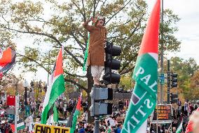 Pro-Palestinian Rally - Washington