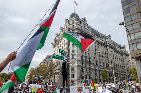 Pro-Palestinian Rally - Washington