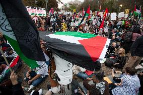 Pro-Palestinian Rally - Washington