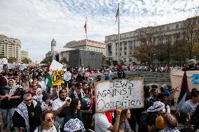 Pro-Palestinian Rally - Washington