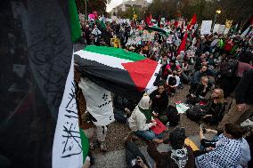 Pro-Palestinian Rally - Washington