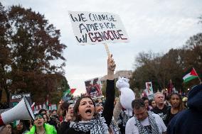 Pro-Palestinian Rally - Washington