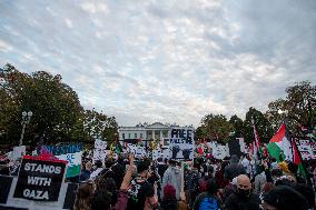 Pro-Palestinian Rally - Washington