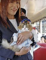 Feline stationmaster in Fukushima Pref.