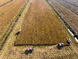 Baima Lake Farm in Huaian