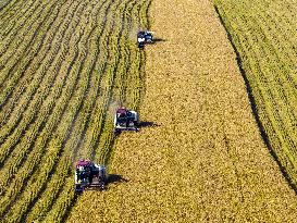 Baima Lake Farm in Huaian