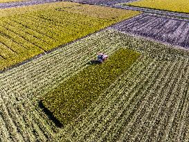 Baima Lake Farm in Huaian