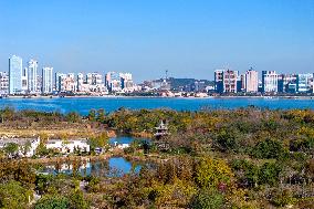 Tangdaowan National Wetland Park Autumn Secenery in Qingdao