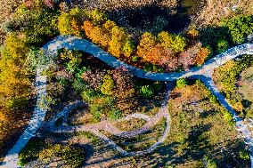 Tangdaowan National Wetland Park Autumn Secenery in Qingdao