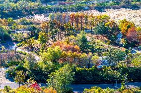 Tangdaowan National Wetland Park Autumn Secenery in Qingdao