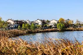 Tangdaowan National Wetland Park Autumn Secenery in Qingdao