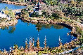 Tangdaowan National Wetland Park Autumn Secenery in Qingdao