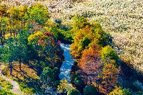 Tangdaowan National Wetland Park Autumn Secenery in Qingdao