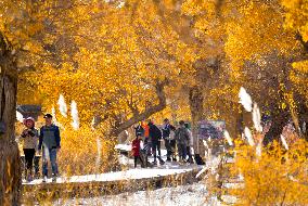 CHINA-XINJIANG-DESERT POPLAR-TOURISM (CN)