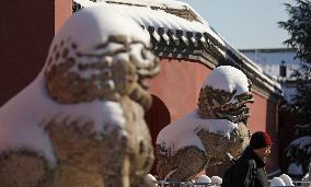 CHINA-LIAONING-SHENYANG-IMPERIAL PALACE-SNOW (CN)