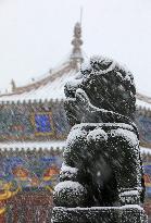 CHINA-LIAONING-SHENYANG-IMPERIAL PALACE-SNOW (CN)